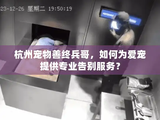 杭州宠物善终兵哥，如何为爱宠提供专业告别服务？