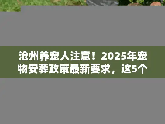 沧州养宠人注意！2025年宠物安葬政策最新要求，这5个误区别踩