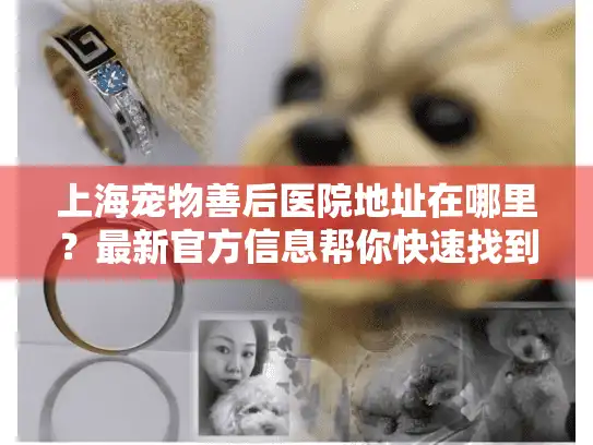 上海宠物善后医院地址在哪里？最新官方信息帮你快速找到服务点