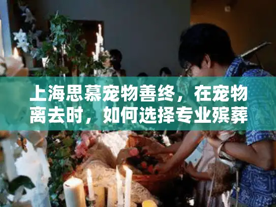 上海思慕宠物善终，在宠物离去时，如何选择专业殡葬服务？
