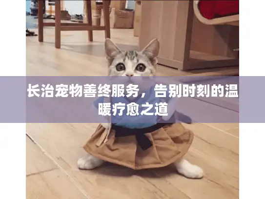 长治宠物善终服务，告别时刻的温暖疗愈之道