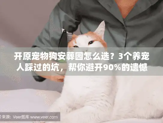 开原宠物狗安葬园怎么选？3个养宠人踩过的坑，帮你避开90%的遗憾