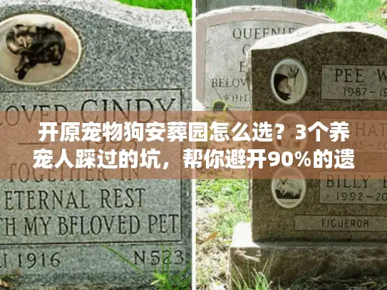 开原宠物狗安葬园怎么选？3个养宠人踩过的坑，帮你避开90%的遗憾