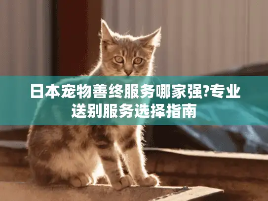 日本宠物善终服务哪家强?专业送别服务选择指南