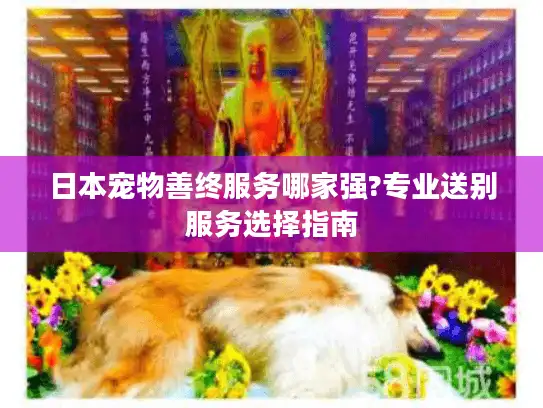 日本宠物善终服务哪家强?专业送别服务选择指南