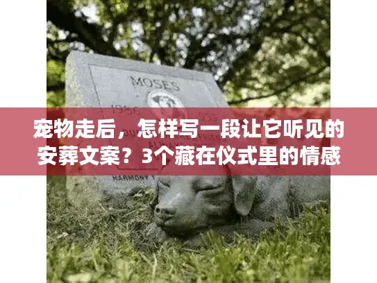 宠物走后，怎样写一段让它听见的安葬文案？3个藏在仪式里的情感密码