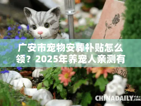 广安市宠物安葬补贴怎么领？2025年养宠人亲测有效的殡葬服务全攻略