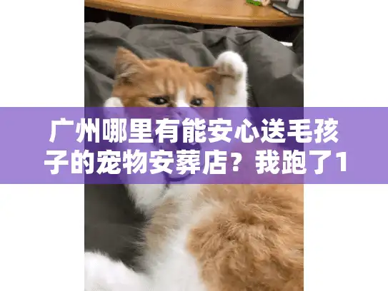 广州哪里有能安心送毛孩子的宠物安葬店？我跑了12家后的避坑指南