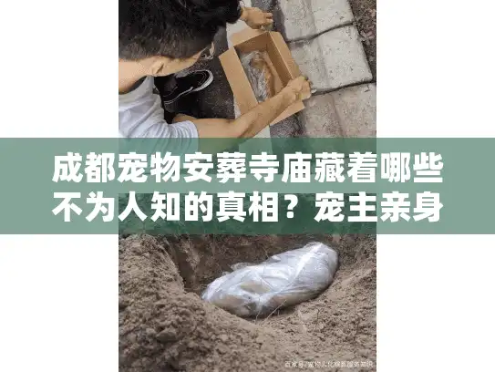 成都宠物安葬寺庙藏着哪些不为人知的真相？宠主亲身经历告诉你答案
