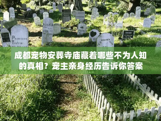成都宠物安葬寺庙藏着哪些不为人知的真相？宠主亲身经历告诉你答案