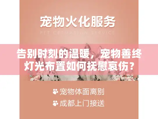 告别时刻的温暖，宠物善终灯光布置如何抚慰哀伤？