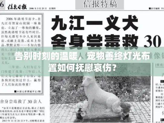 告别时刻的温暖，宠物善终灯光布置如何抚慰哀伤？