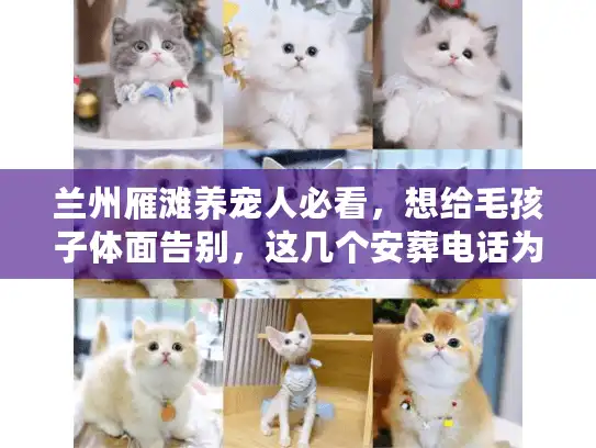 兰州雁滩养宠人必看，想给毛孩子体面告别，这几个安葬电话为啥能安心用？