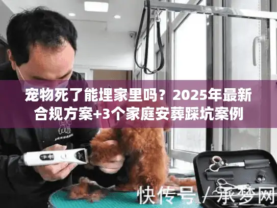宠物死了能埋家里吗？2025年最新合规方案+3个家庭安葬踩坑案例
