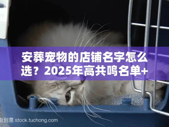 安葬宠物的店铺名字怎么选？2025年高共鸣名单+背后的行业门道