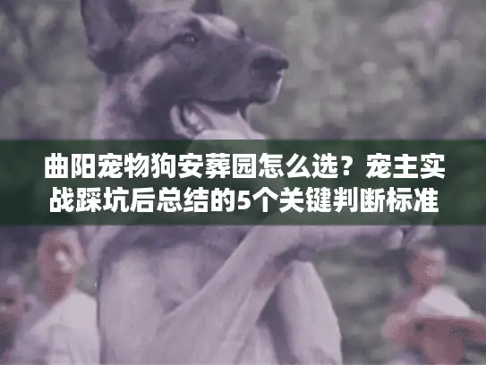 曲阳宠物狗安葬园怎么选？宠主实战踩坑后总结的5个关键判断标准