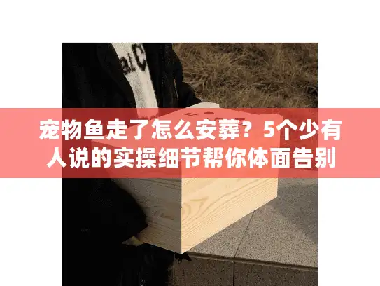 宠物鱼走了怎么安葬？5个少有人说的实操细节帮你体面告别