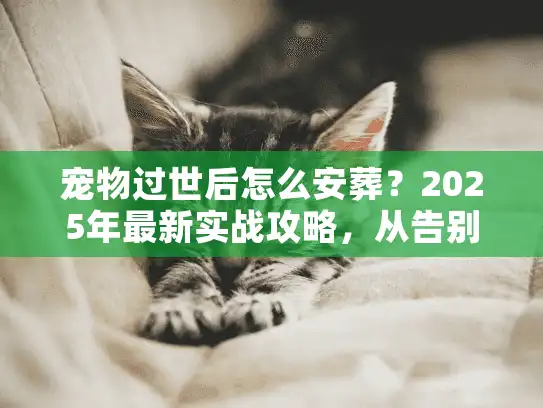 宠物过世后怎么安葬？2025年最新实战攻略，从告别到入土的7个关键坑要避