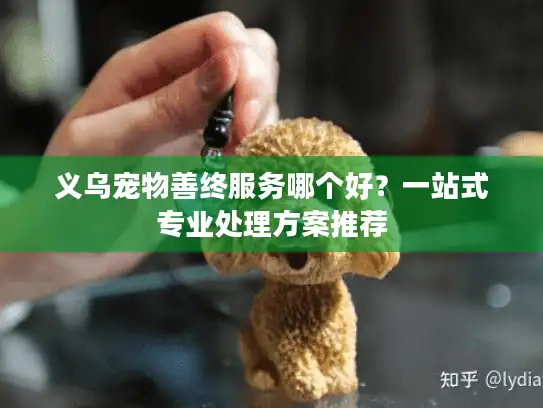 义乌宠物善终服务哪个好？一站式专业处理方案推荐