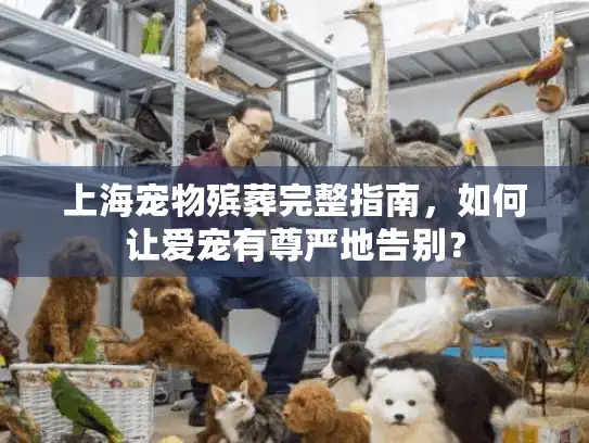 上海宠物殡葬完整指南，如何让爱宠有尊严地告别？