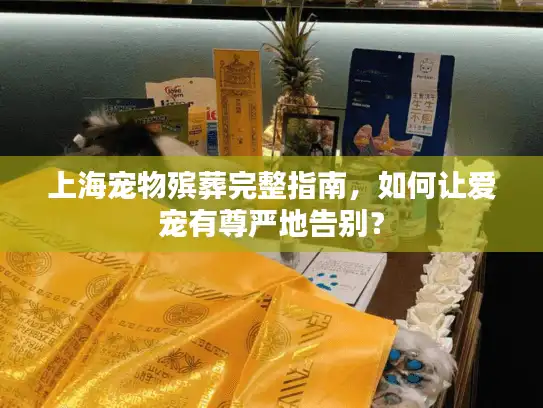 上海宠物殡葬完整指南，如何让爱宠有尊严地告别？