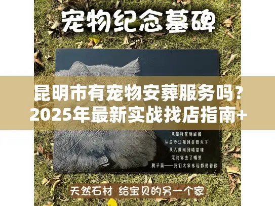 昆明市有宠物安葬服务吗？2025年最新实战找店指南+避坑技巧