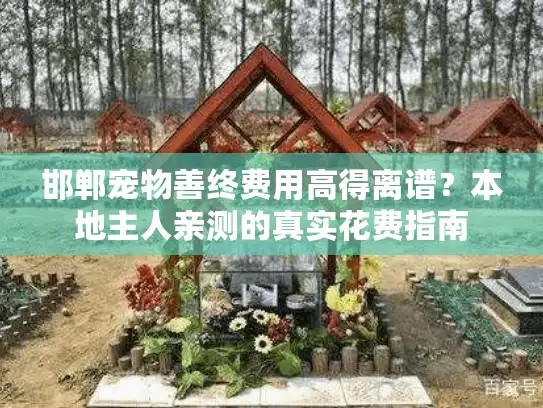 邯郸宠物善终费用高得离谱？本地主人亲测的真实花费指南