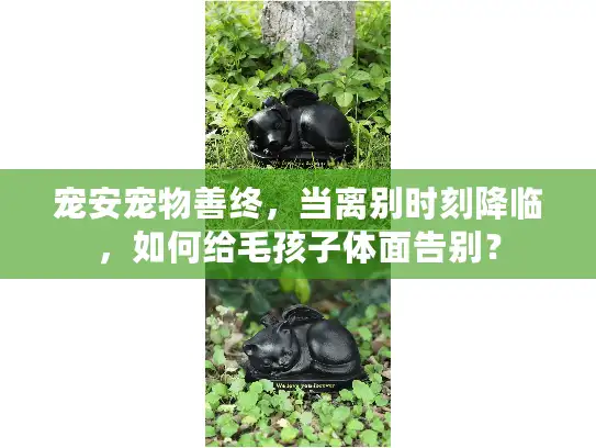 宠安宠物善终，当离别时刻降临，如何给毛孩子体面告别？