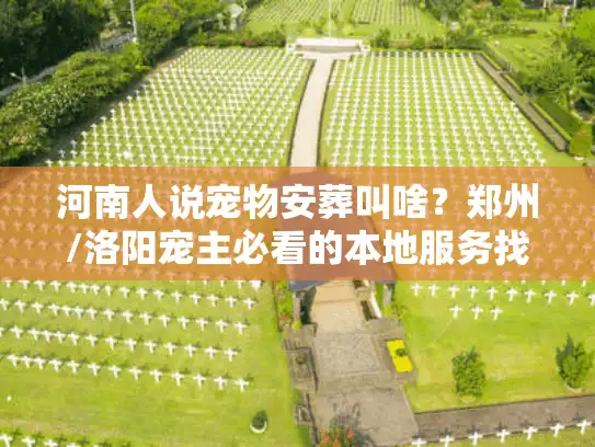 河南人说宠物安葬叫啥？郑州/洛阳宠主必看的本地服务找法+避坑指南