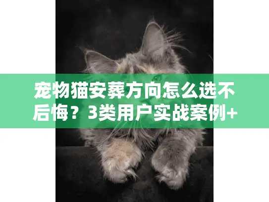 宠物猫安葬方向怎么选不后悔？3类用户实战案例+行业潜规则避坑