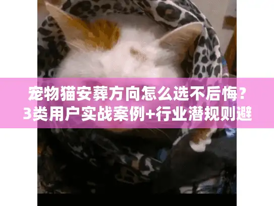 宠物猫安葬方向怎么选不后悔？3类用户实战案例+行业潜规则避坑