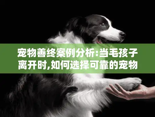 宠物善终案例分析:当毛孩子离开时,如何选择可靠的宠物殡葬服务?