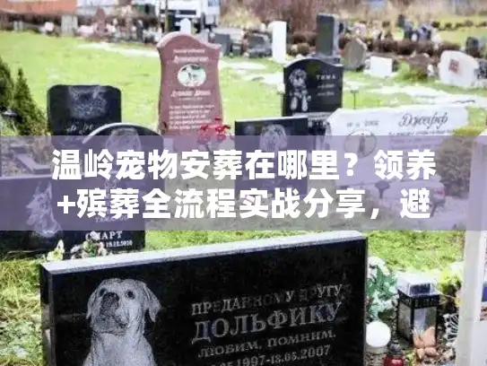 温岭宠物安葬在哪里？领养+殡葬全流程实战分享，避开90%人踩的坑