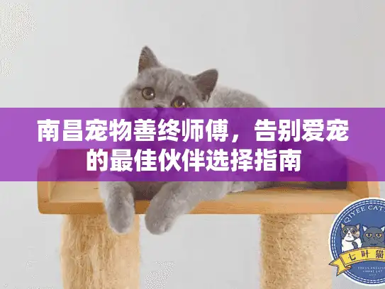 南昌宠物善终师傅，告别爱宠的最佳伙伴选择指南