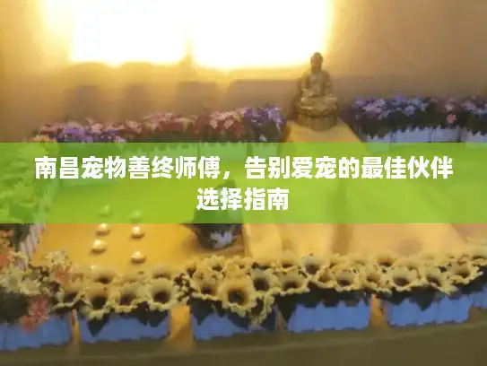 南昌宠物善终师傅，告别爱宠的最佳伙伴选择指南