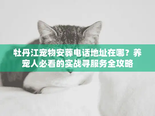 牡丹江宠物安葬电话地址在哪？养宠人必看的实战寻服务全攻略