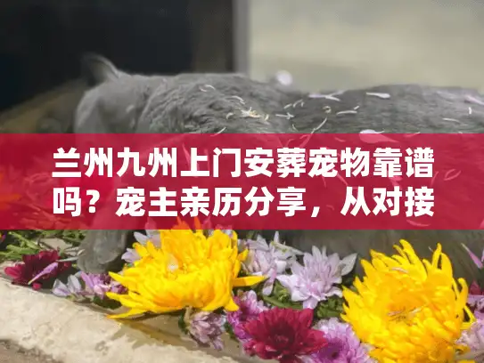 兰州九州上门安葬宠物靠谱吗？宠主亲历分享，从对接至入土的7个关键细节