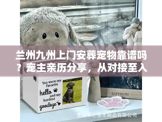 兰州九州上门安葬宠物靠谱吗？宠主亲历分享，从对接至入土的7个关键细节