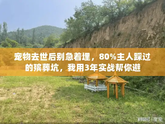 宠物去世后别急着埋，80%主人踩过的殡葬坑，我用3年实战帮你避
