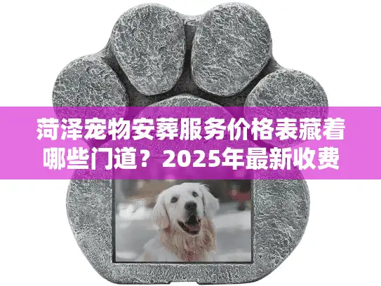 菏泽宠物安葬服务价格表藏着哪些门道？2025年最新收费、服务细节全拆解