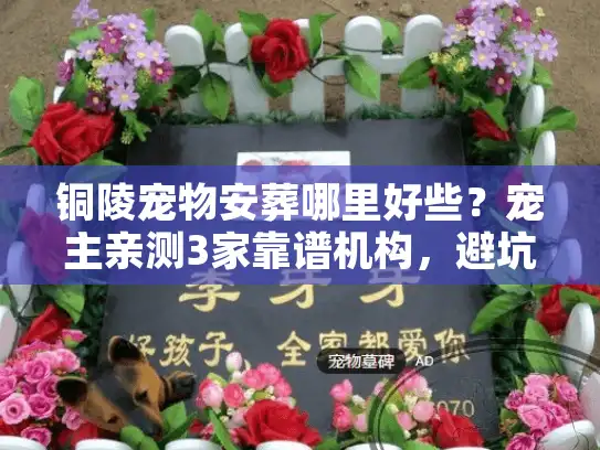 铜陵宠物安葬哪里好些？宠主亲测3家靠谱机构，避坑干货全在这