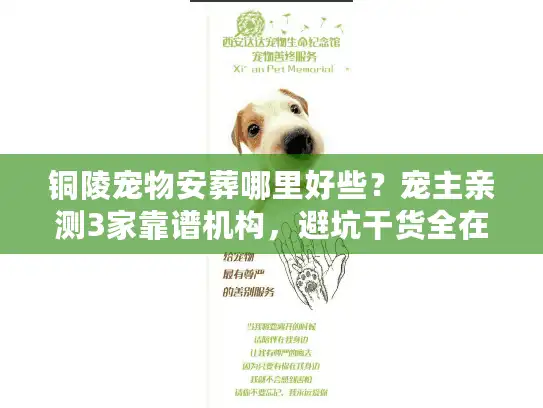 铜陵宠物安葬哪里好些？宠主亲测3家靠谱机构，避坑干货全在这