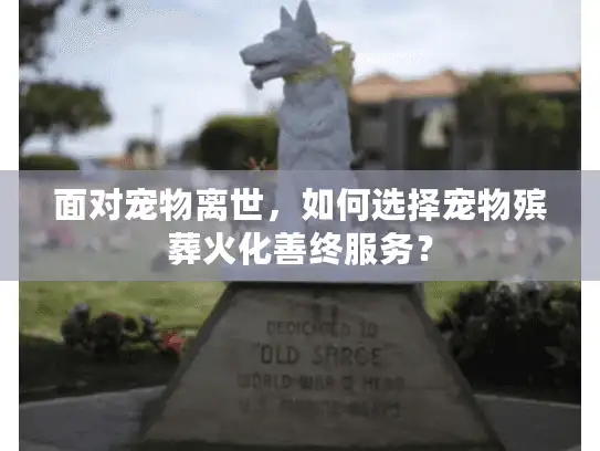 面对宠物离世，如何选择宠物殡葬火化善终服务？
