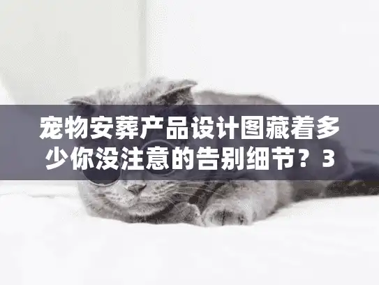 宠物安葬产品设计图藏着多少你没注意的告别细节？3个实战案例揭开行业门道