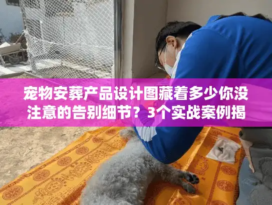 宠物安葬产品设计图藏着多少你没注意的告别细节？3个实战案例揭开行业门道