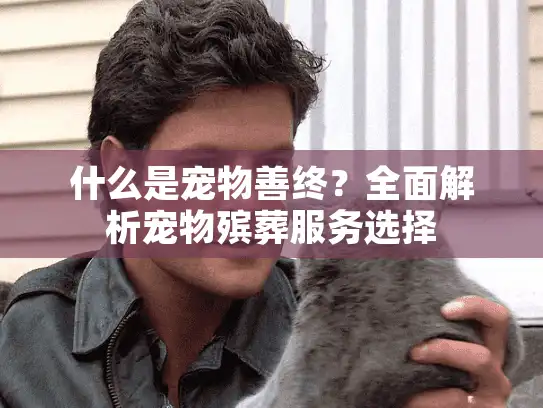 什么是宠物善终？全面解析宠物殡葬服务选择