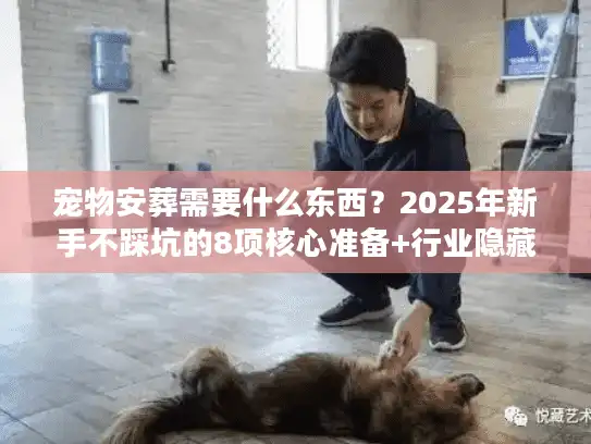 宠物安葬需要什么东西？2025年新手不踩坑的8项核心准备+行业隐藏门道