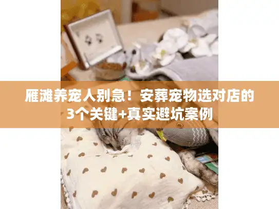 雁滩养宠人别急！安葬宠物选对店的3个关键+真实避坑案例
