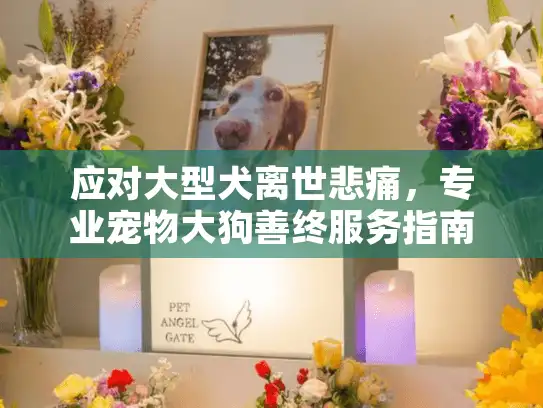 应对大型犬离世悲痛，专业宠物大狗善终服务指南