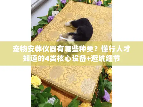 宠物安葬仪器有哪些种类？懂行人才知道的4类核心设备+避坑细节